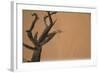 Namibia Desert-DR_Flash-Framed Photographic Print