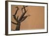 Namibia Desert-DR_Flash-Framed Photographic Print