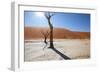 Namibia Desert-DR_Flash-Framed Photographic Print