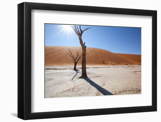 Namibia Desert-DR_Flash-Framed Photographic Print