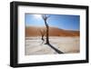 Namibia Desert-DR_Flash-Framed Photographic Print