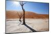 Namibia Desert-DR_Flash-Mounted Photographic Print