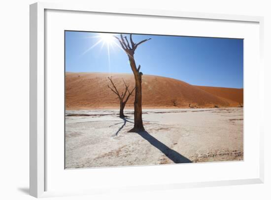 Namibia Desert-DR_Flash-Framed Photographic Print