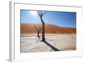 Namibia Desert-DR_Flash-Framed Photographic Print