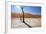 Namibia Desert-DR_Flash-Framed Photographic Print