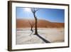 Namibia Desert-DR_Flash-Framed Photographic Print