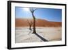 Namibia Desert-DR_Flash-Framed Photographic Print