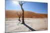 Namibia Desert-DR_Flash-Mounted Photographic Print