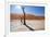 Namibia Desert-DR_Flash-Framed Photographic Print