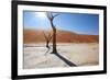 Namibia Desert-DR_Flash-Framed Photographic Print