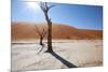 Namibia Desert-DR_Flash-Mounted Photographic Print
