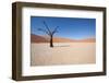 Namibia Desert-DR_Flash-Framed Photographic Print