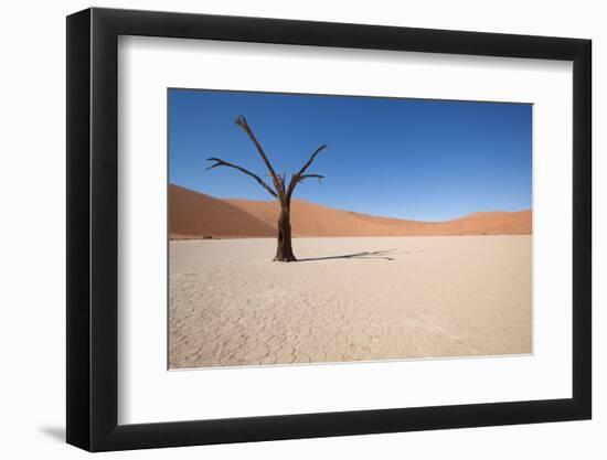 Namibia Desert-DR_Flash-Framed Photographic Print