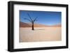 Namibia Desert-DR_Flash-Framed Photographic Print