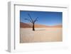 Namibia Desert-DR_Flash-Framed Photographic Print