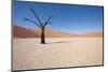 Namibia Desert-DR_Flash-Mounted Photographic Print