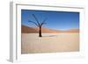 Namibia Desert-DR_Flash-Framed Photographic Print