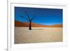 Namibia Desert-DR_Flash-Framed Photographic Print