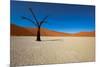 Namibia Desert-DR_Flash-Mounted Photographic Print