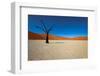 Namibia Desert-DR_Flash-Framed Photographic Print