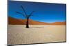 Namibia Desert-DR_Flash-Mounted Photographic Print