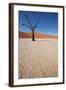 Namibia Desert-DR_Flash-Framed Photographic Print