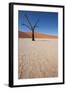 Namibia Desert-DR_Flash-Framed Photographic Print