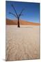 Namibia Desert-DR_Flash-Mounted Photographic Print