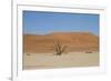 Namibia Desert-DR_Flash-Framed Photographic Print