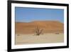 Namibia Desert-DR_Flash-Framed Photographic Print