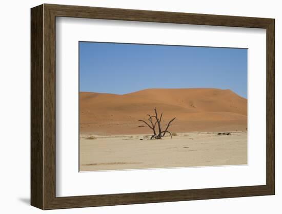 Namibia Desert-DR_Flash-Framed Photographic Print