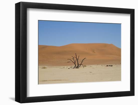 Namibia Desert-DR_Flash-Framed Photographic Print