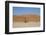 Namibia Desert-DR_Flash-Framed Photographic Print