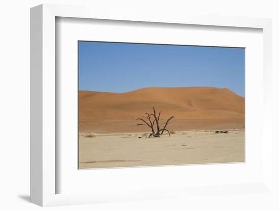 Namibia Desert-DR_Flash-Framed Photographic Print