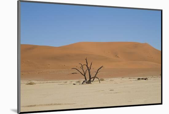 Namibia Desert-DR_Flash-Mounted Photographic Print