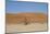 Namibia Desert-DR_Flash-Mounted Photographic Print