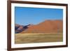 Namibia Desert-DR_Flash-Framed Photographic Print