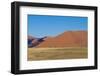 Namibia Desert-DR_Flash-Framed Photographic Print