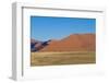 Namibia Desert-DR_Flash-Framed Photographic Print