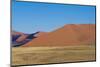 Namibia Desert-DR_Flash-Mounted Photographic Print