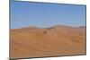 Namibia Desert-DR_Flash-Mounted Photographic Print