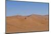 Namibia Desert-DR_Flash-Mounted Photographic Print