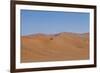 Namibia Desert-DR_Flash-Framed Photographic Print