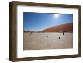 Namibia Desert-DR_Flash-Framed Photographic Print