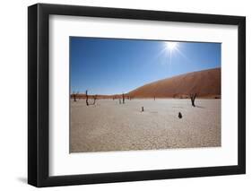 Namibia Desert-DR_Flash-Framed Photographic Print