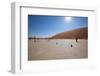 Namibia Desert-DR_Flash-Framed Photographic Print