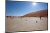 Namibia Desert-DR_Flash-Mounted Photographic Print