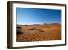 Namibia Desert-DR_Flash-Framed Photographic Print