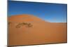 Namibia Desert-DR_Flash-Mounted Photographic Print