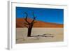 Namibia Desert-DR_Flash-Framed Photographic Print